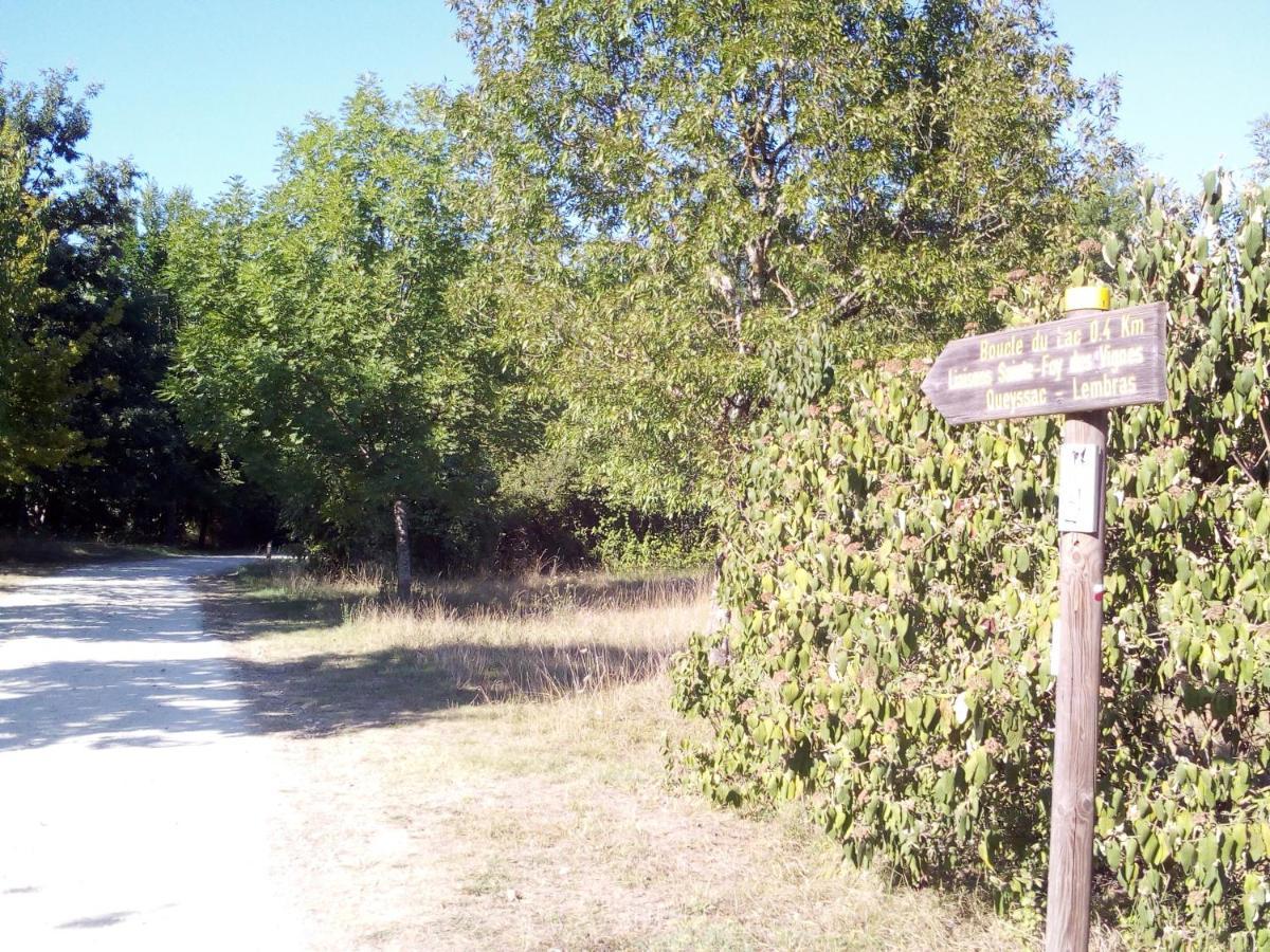 T2 36 M2 Pres Du Lac, Parc 55 Hectares Accessible A Pied ! 贝尔热拉克 外观 照片